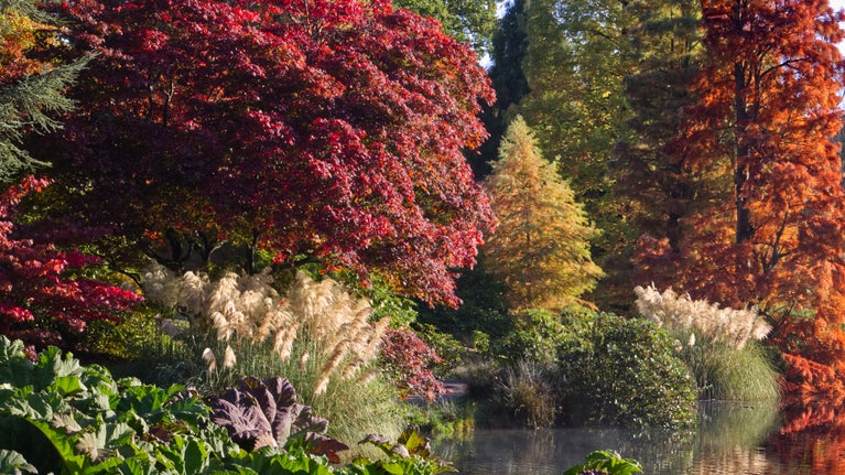 View across the lake of autumn colour and pampas grass